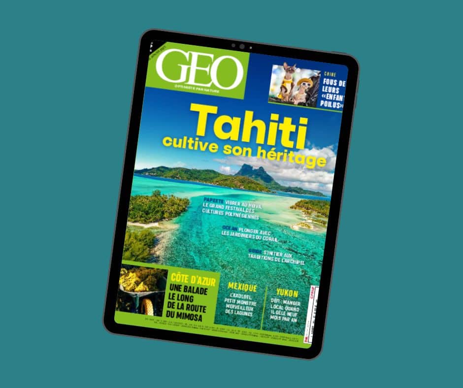GEO Magazine marketing consulting